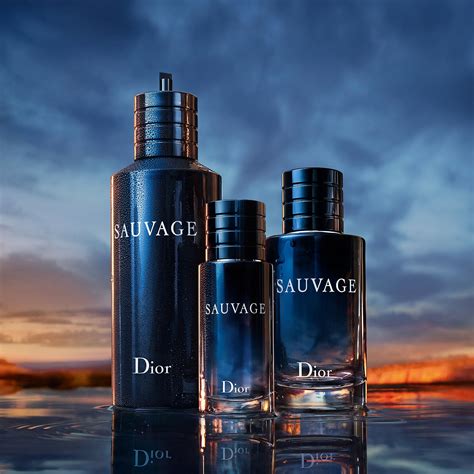 equivalente dior sauvage|sauvage dior for men.